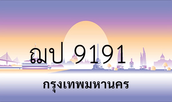 ฌป 9191